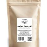 Aslan Pençesi 50g