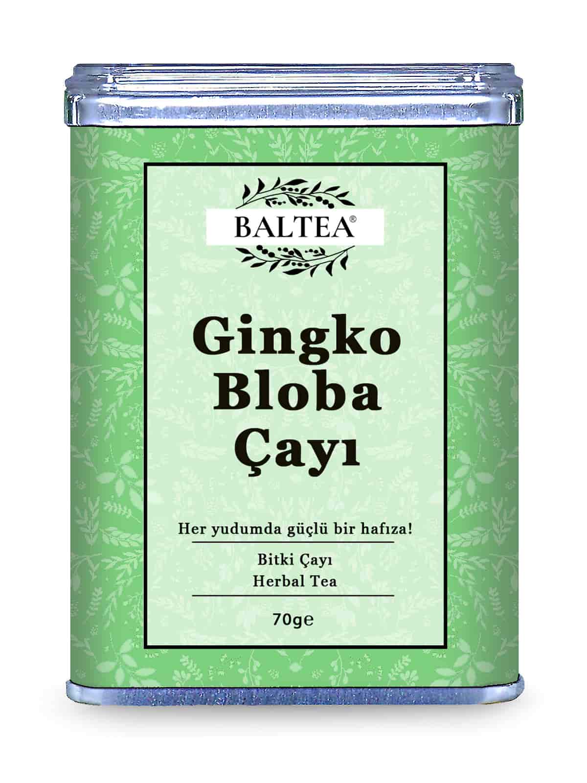 Ginkgo biloba