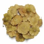 Çaltı Dikeni 70g