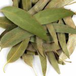 Okaliptus Yaprağı 100g