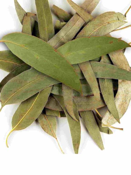 Okaliptus Yaprağı 100g