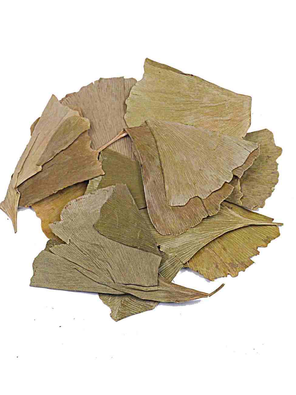 biloba yapragı Ginkgo Biloba Yaprağı 60 g - Görsel 1