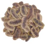 Açlık Otu 100 g