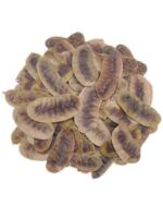 Açlık Otu 100 g