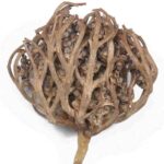 Fatma Ana Eli Otu 100 g