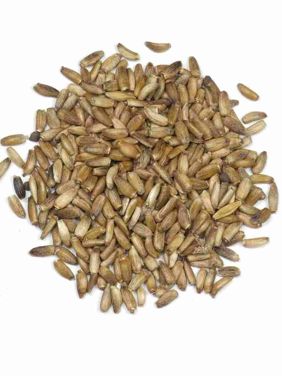 devedikeni tohumu Devedikeni Tohumu 500 g - Görsel 1